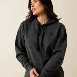 Ariat Logo 2.0 Hoodie